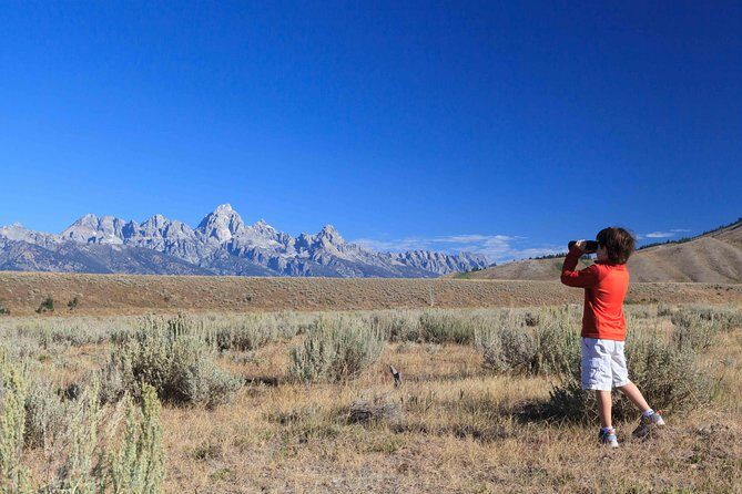 Half-Day Grand Teton Wildlife Safari Private Tour - The Value of This Private Safari