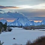 Half Day Group Sunrise Wildlife Safari - How Does It Stack Up in Value?
