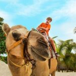 Half-Day Parasailing and Camel Caravan Tour in Maroma Beach - Who Will Love This Tour?