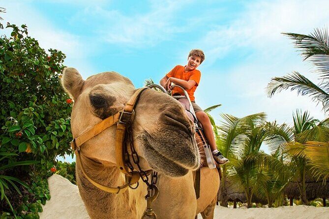 Half-Day Parasailing and Camel Caravan Tour in Maroma Beach - Who Will Love This Tour?