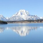 Half Day Private Winter Wildlife Tours in Jackson Hole - Pricing and Value
