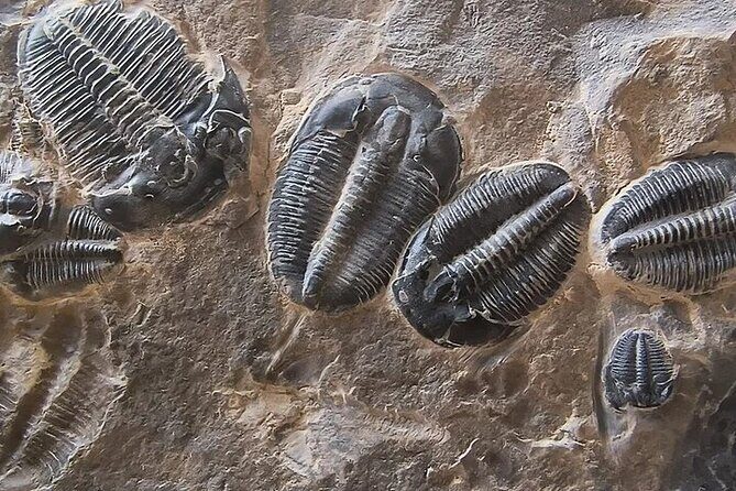 Half Day Quarry Access - Final Thoughts