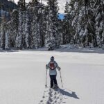 Half Day Snowshoe Hike in Tahoe National Forest - Discovering Tahoe’s Winter Wonderland: An In-Depth Review