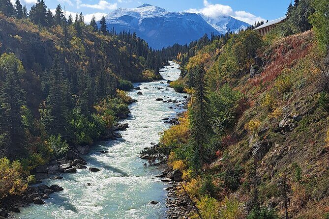 Half Day Suspension Bridge Tour in Skagway and Yukon - FAQ Section