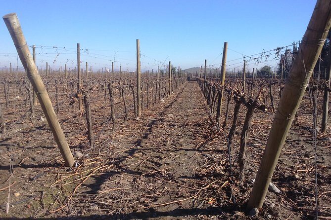 half day wine tour to concha y toro from Santiago seasonal offer - FAQ