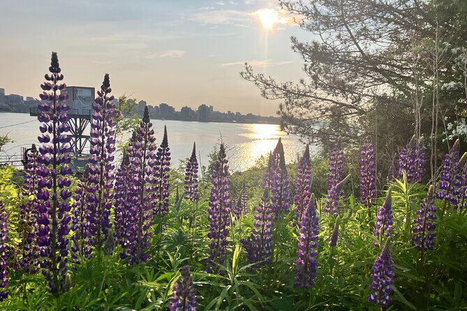 Halifax Like a Local Darkside Walking Tour - Exploring Halifax’s Hidden Stories with Jimmy Dalling