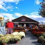 Happy Farm Fun Day Tour from NY | Kids 50% Off - The Farm Experience Unpacked