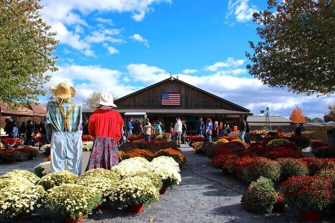 Happy Farm Fun Day Tour from NY | Kids 50% Off - The Farm Experience Unpacked
