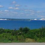 Harbor Highlights: Sydney City Tour - Analyzing the Value