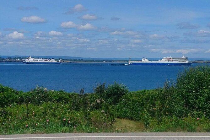 Harbor Highlights: Sydney City Tour - Analyzing the Value