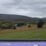 Harpers Ferry and National Museum of Civil War Medicine Tour - Who Will Love This Experience?