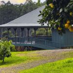 Hawaii: 10 Bar Chocolate Tasting & History of Chocolate - A Closer Look at the Experience