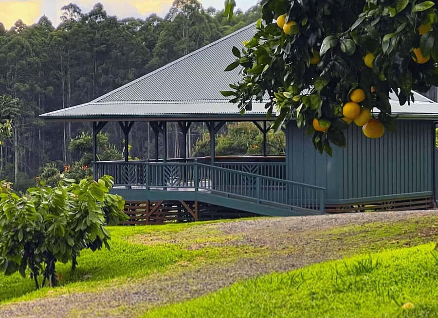 Hawaii: 10 Bar Chocolate Tasting & History of Chocolate - A Closer Look at the Experience