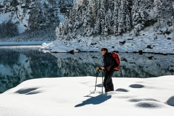 Heavenly Tahoe Snow Shoe Tour With A Local Guide - Exploring the Tour in Detail