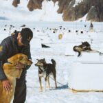 Helicopter to a Dogsledding Experience with a Glacier Landing - Authenticity and Safety