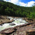Hico, WV: Upper New River Family Rafting Day Trip - Exploring the Details: What to Expect on the Upper New River Family Rafting Trip