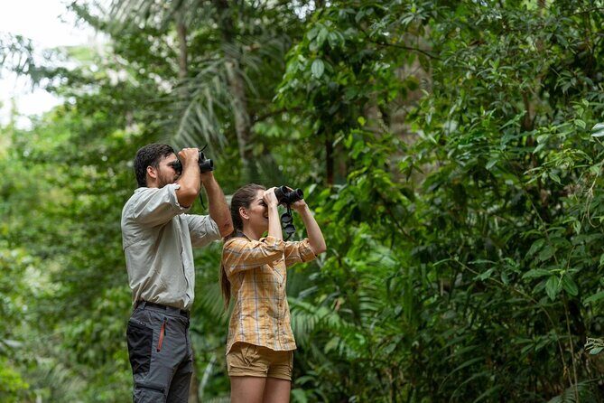 Highlights of Birdwatching and nature in the Pipeline Road - Who Is This Tour Best For?