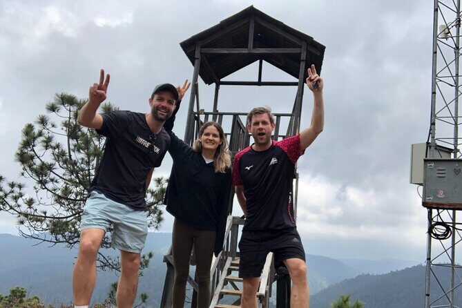 Hiking in the Enchanted Forest of Ixtepeji with Rescue Dogs - A Deep Dive into the Enchanted Forest Adventure