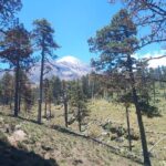 Hiking Tour on the Pico de Orizaba Volcano - Final Thoughts: Is It Worth It?