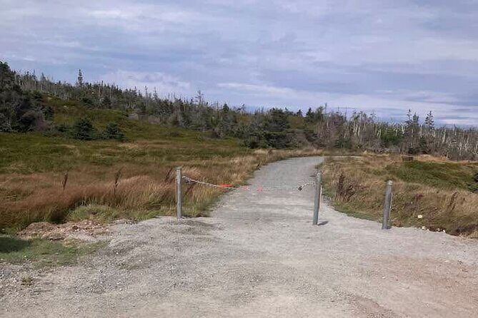 Hiking Trail at Louisbourg Lighthouse Scenic Coastal Views Tour - Critical Considerations