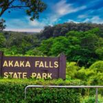 Hilo: Akaka Falls, Volcanoes, and Rainbow Falls Guided Tour - Who Is This Tour Best Suited For?