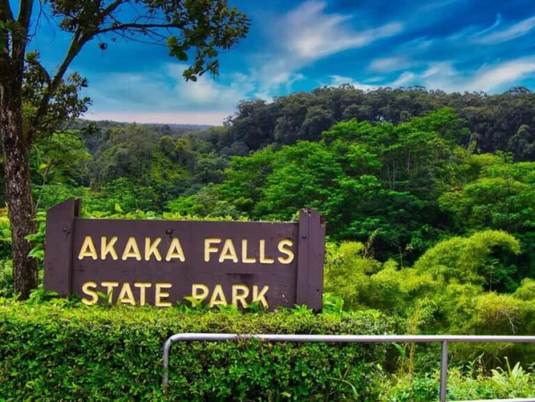 Hilo: Akaka Falls, Volcanoes, and Rainbow Falls Guided Tour - Who Is This Tour Best Suited For?