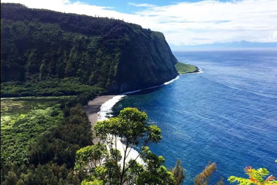 Hilo Bay & Coconut Kayak Adventure - Frequently Asked Questions