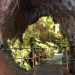 Hilo Shore Excursion: Active Volcano, Lava Tube, Waterfall and Gardens - A Detailed Look at the Hilo Shore Excursion