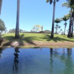 Hilo: Wailoa River to King Kamehameha Guided Kayaking Tour - Final Thoughts: Who Will Love This Tour?