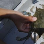 Hilton Head Island: Crabbing Expedition Boat Tour - What We Loved About This Tour