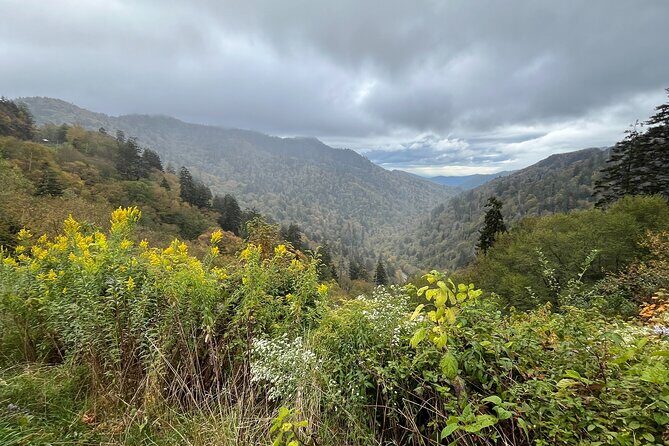 Historical Hikes in the Great Smoky Mountains National Park - Exploring the Experience in Detail
