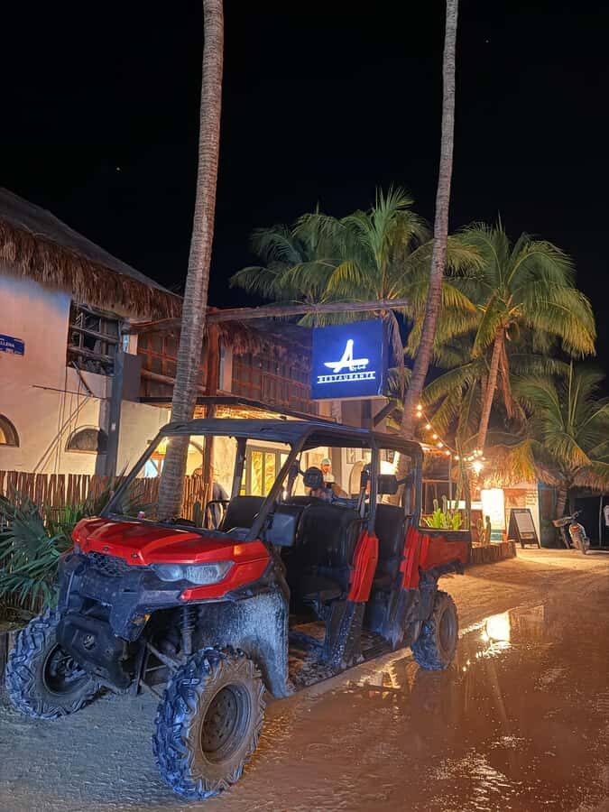 Holbox: Bioluminescence Tour in Canam - A Detailed Look at the Tour Experience