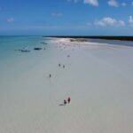 Holbox : boat tour, golfcart, beach club, pick up available - The Experience You’ll Love