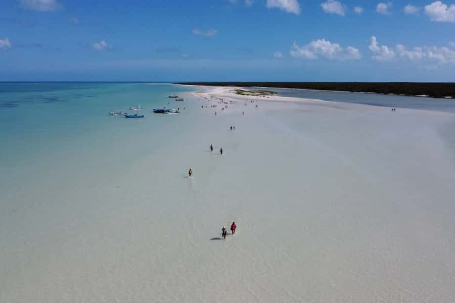 Holbox : boat tour, golfcart, beach club, pick up available - The Experience You’ll Love