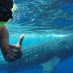 Holbox Island: Swim with Whale Sharks, All-Inclusive - The Value of This Tour