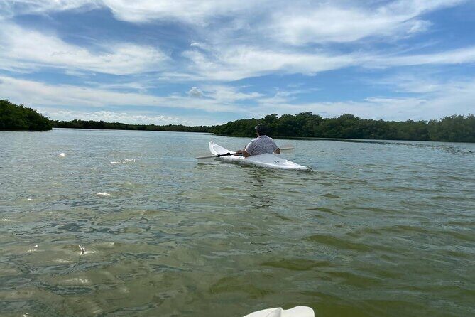 Holbox : Kayaking through Mangroves - In-Depth Review of the Holbox Mangroves Kayaking Tour