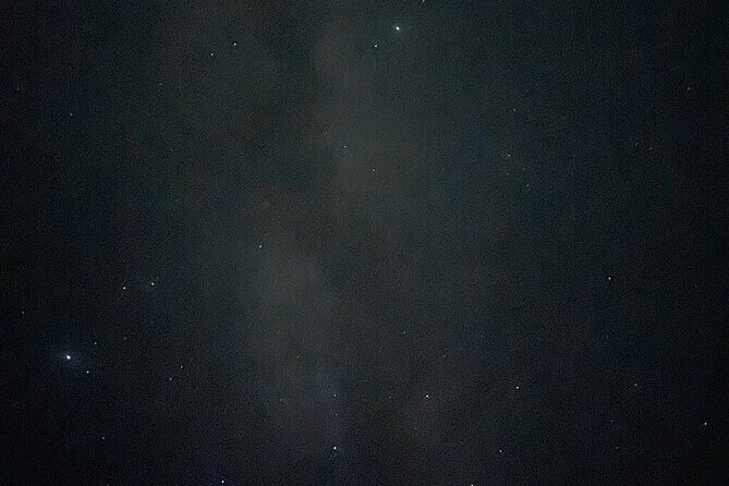 Holbox : Night Kayak and Bioluminescence Experience - The Sum Up