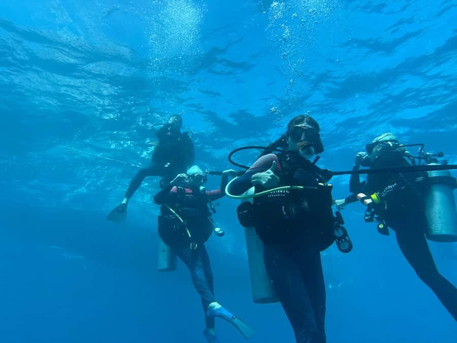 Honolulu: Discover Scuba Diving Experience with Gear - An In-Depth Look at the Honolulu Scuba Experience