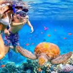 Honolulu Sailing and Snorkeling Activity - An In-Depth Look at the Honolulu Sailing and Snorkeling Tour