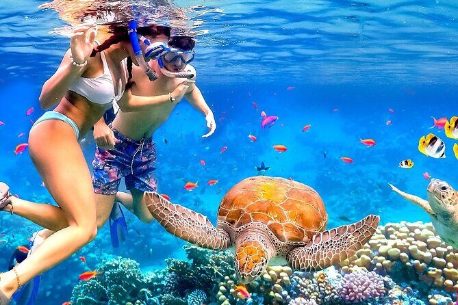Honolulu Sailing and Snorkeling Activity - An In-Depth Look at the Honolulu Sailing and Snorkeling Tour