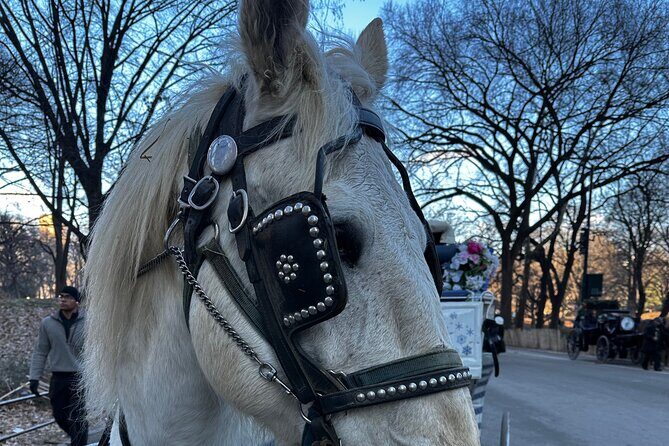 Horse Carriage Tour Through Central Park, NYC SINCE 1903 - A Detailed Look at the Central Park Horse Carriage Tour