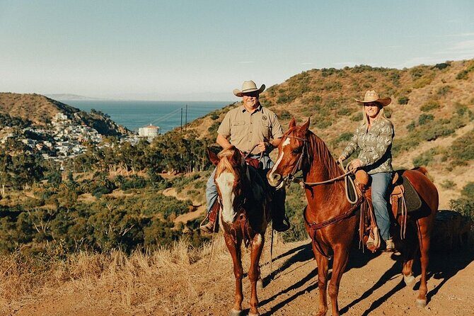 Horse Trail Overlook Group Ride on Catalina Island - Who This Tour Is Perfect For