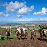 Horseback Ride and Carne Asada Ranch Experience in Ensenada - Frequently Asked Questions