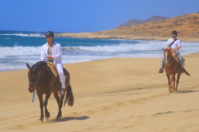Horseback Riding Adventure y Tequila Tasting in Los Cabos - What Travelers Are Saying