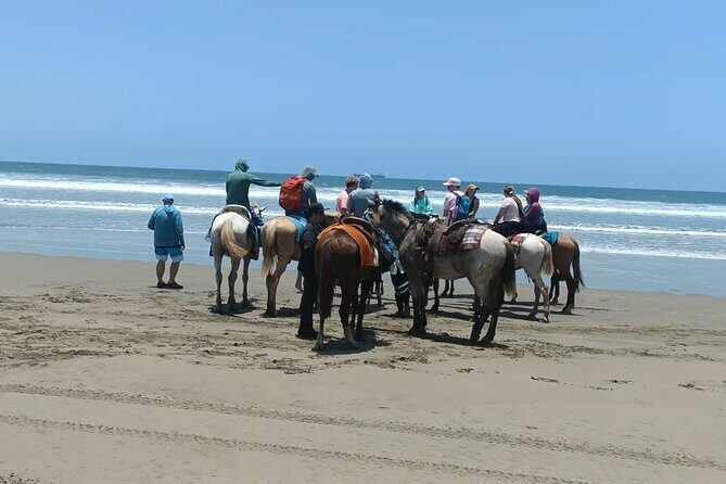 Horseback Riding at Stone Island on the Beach - The Sum Up