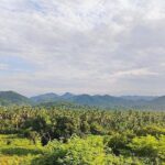 Horseback Riding Playa Larga - A detailed look at horseback riding Playa Larga in Zihuatanejo
