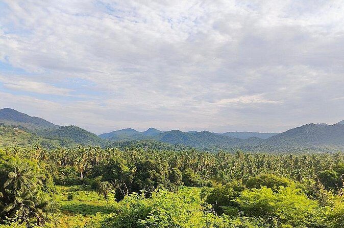 Horseback Riding Playa Larga - A detailed look at horseback riding Playa Larga in Zihuatanejo