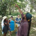 Howler Monkey Sanctuary and Kukumba Beach from Belize City - A Detailed Breakdown of the Tour Experience