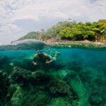 Huatulco: Marine mammal sighting and snorkeling - A Deep Dive into the Huatulco Marine Mammal and Snorkeling Tour