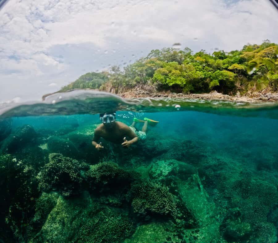Huatulco: Marine mammal sighting and snorkeling - A Deep Dive into the Huatulco Marine Mammal and Snorkeling Tour